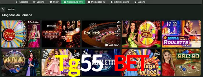 Tg55 Bet bet